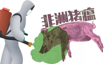 非洲猪瘟的症状、传播途径及防治措施