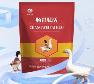 肠胃肽活