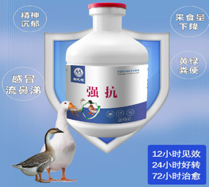 强抗